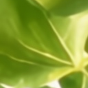 BurstMamba detail for Scene 06