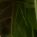 BurstMamba detail for Scene 20