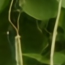 BurstMamba detail for Scene 21