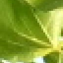 Keyframe detail for Scene 06